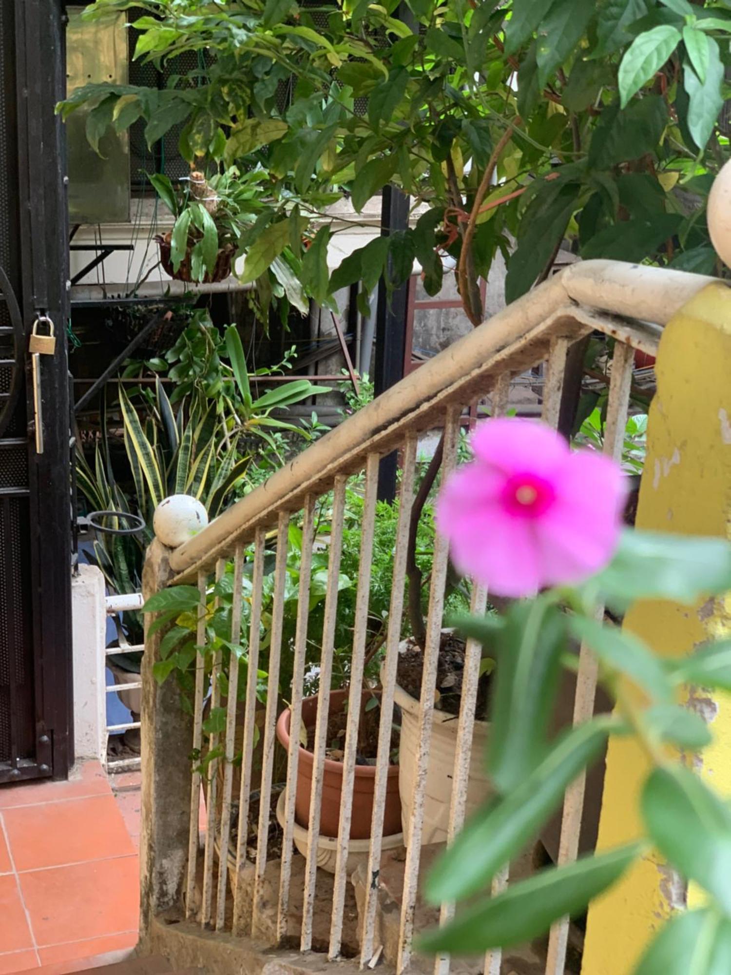 Charmcham House Apartment ฮานอย ภายนอก รูปภาพ
