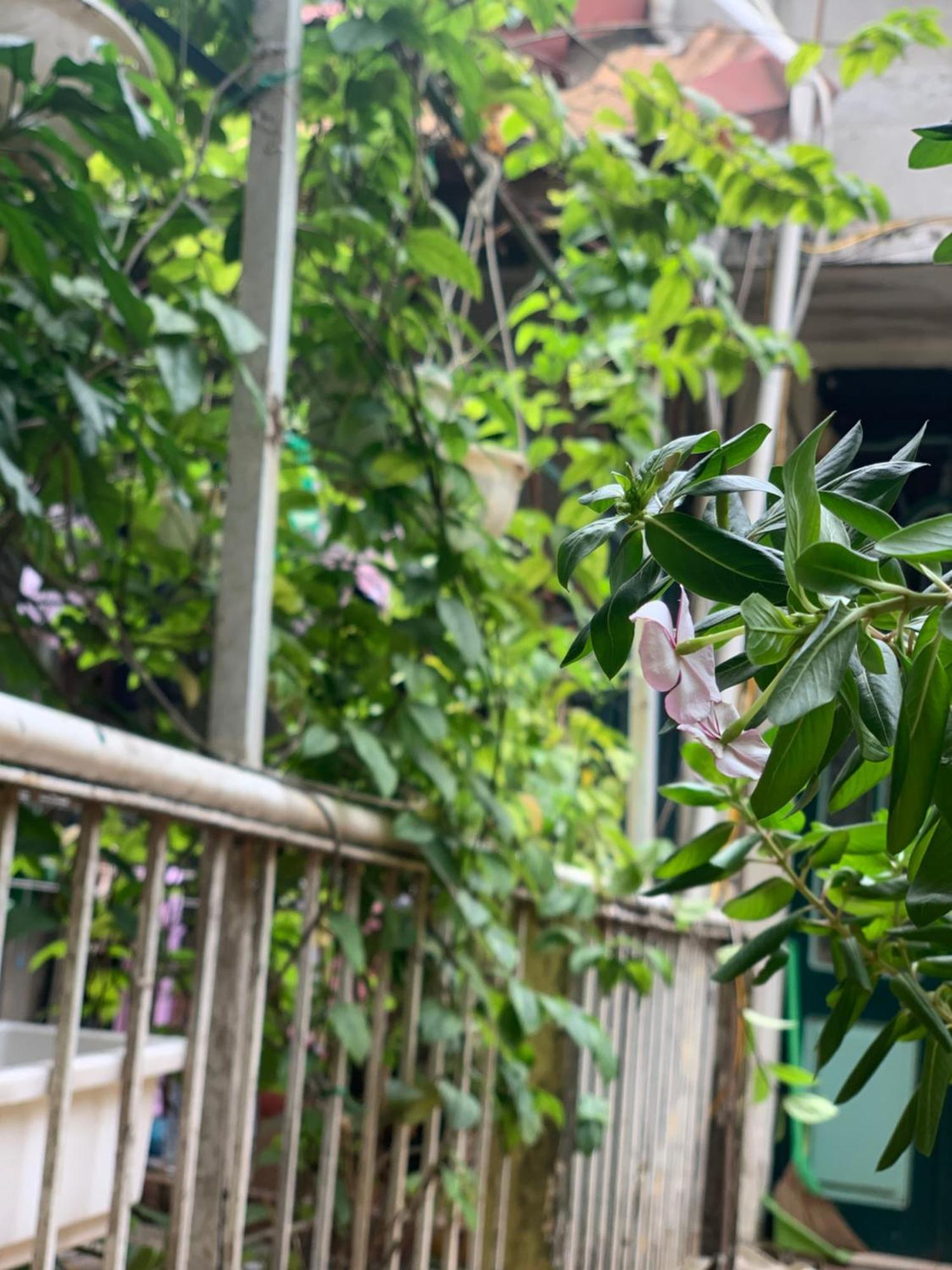 Charmcham House Apartment ฮานอย ภายนอก รูปภาพ