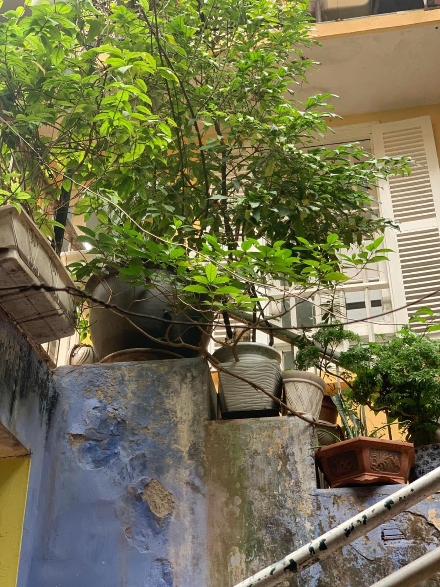 Charmcham House Apartment ฮานอย ภายนอก รูปภาพ
