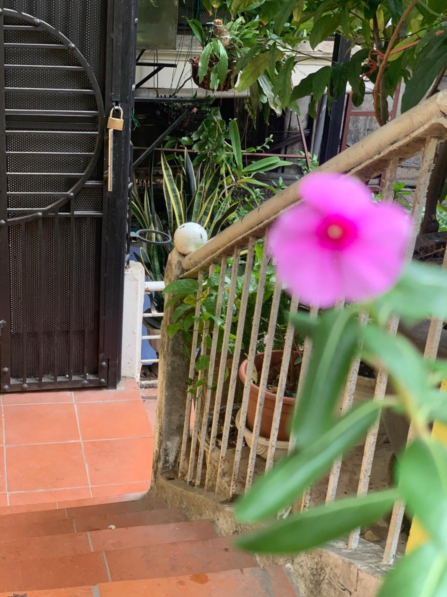 Charmcham House Apartment ฮานอย ภายนอก รูปภาพ