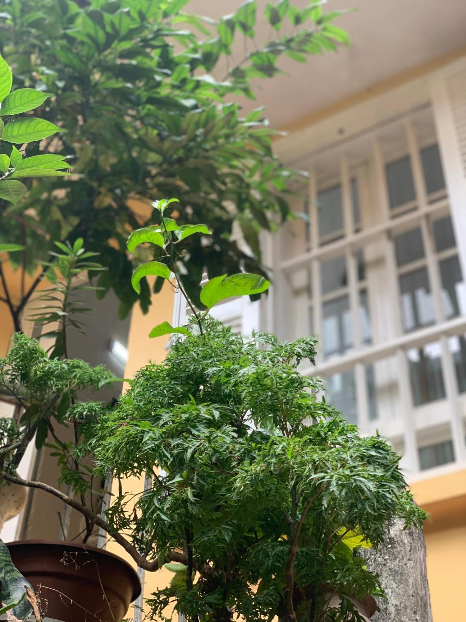 Charmcham House Apartment ฮานอย ภายนอก รูปภาพ